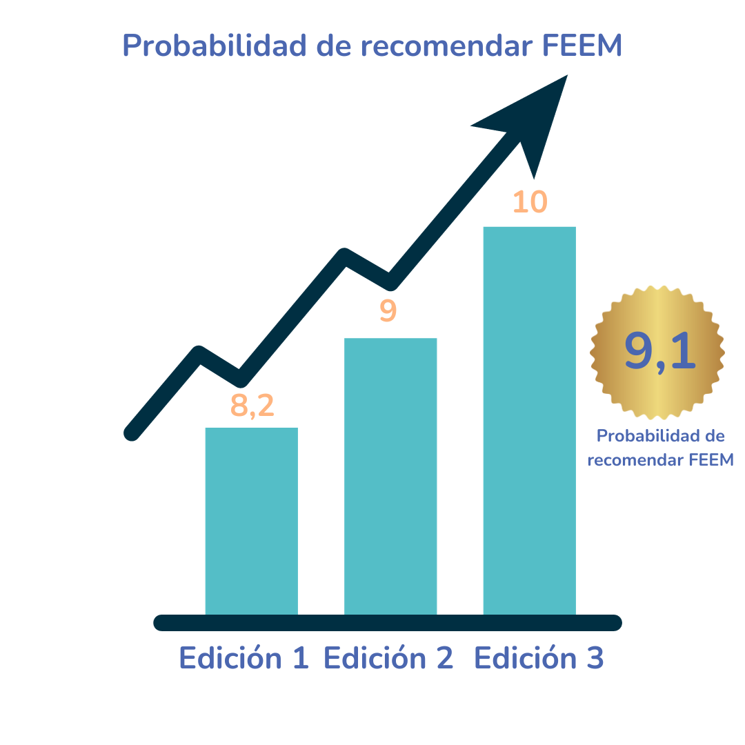 Recomendación FEEM 